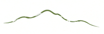 01 bergcontour groen