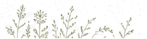 08 botanische rand transparant