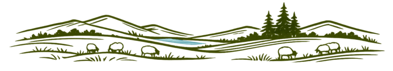 nubdalseng gammelnorsk villsau ved fjorden