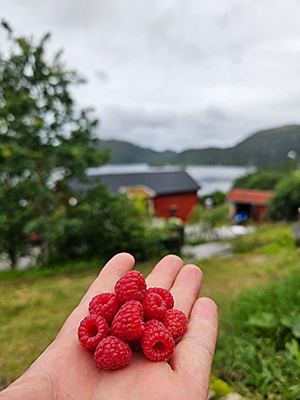 nubdalseng gård bær og frukt