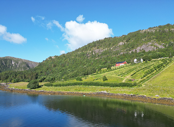 nubdaseng gård øokologisk